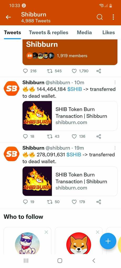 Big Burns 🔥 #SHIBArmy $SHIB