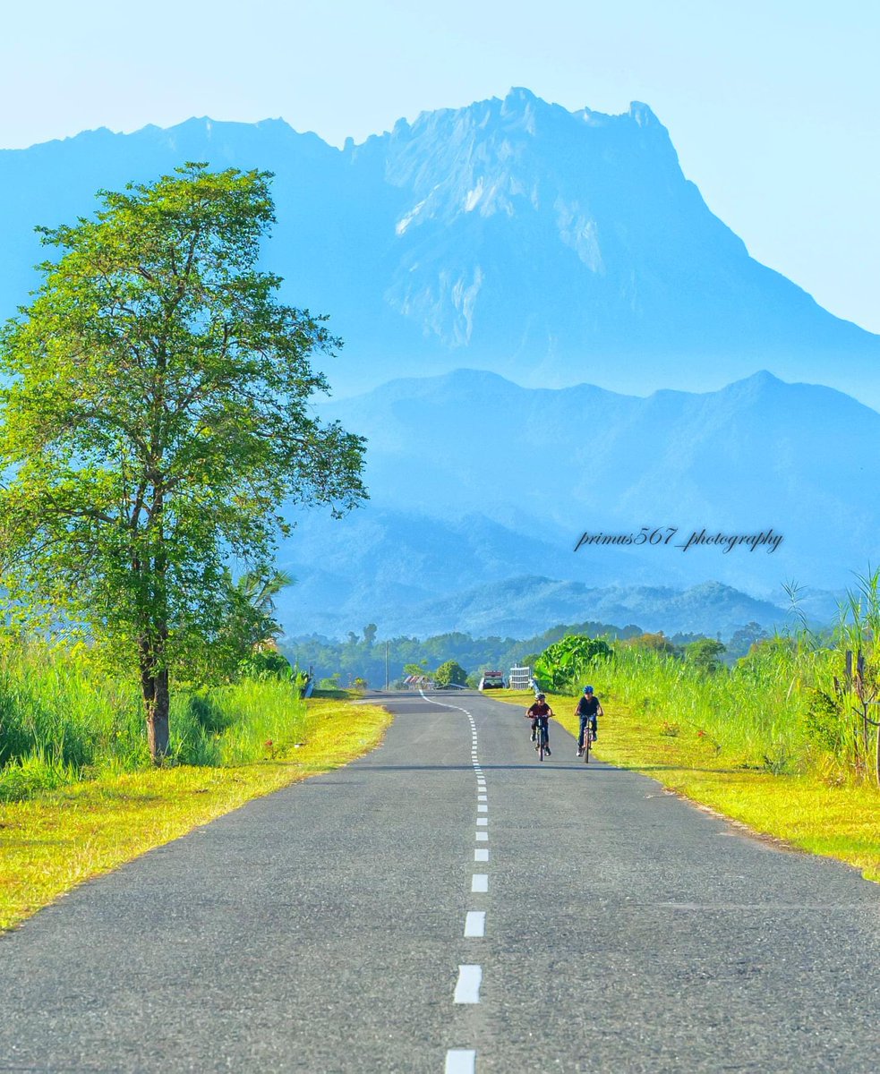 primus567 tweet media