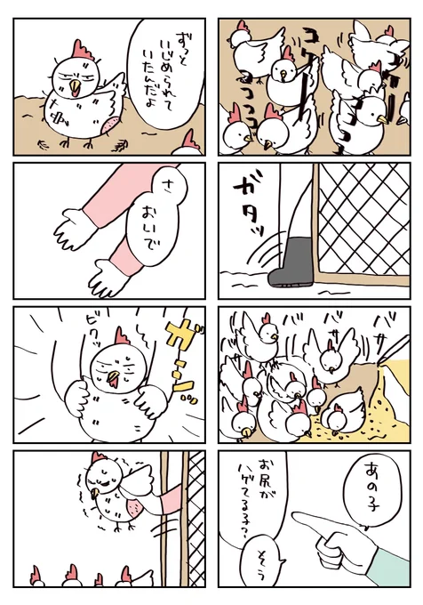 ニワトリが食べられる日まで① #コルクラボマンガ専科 