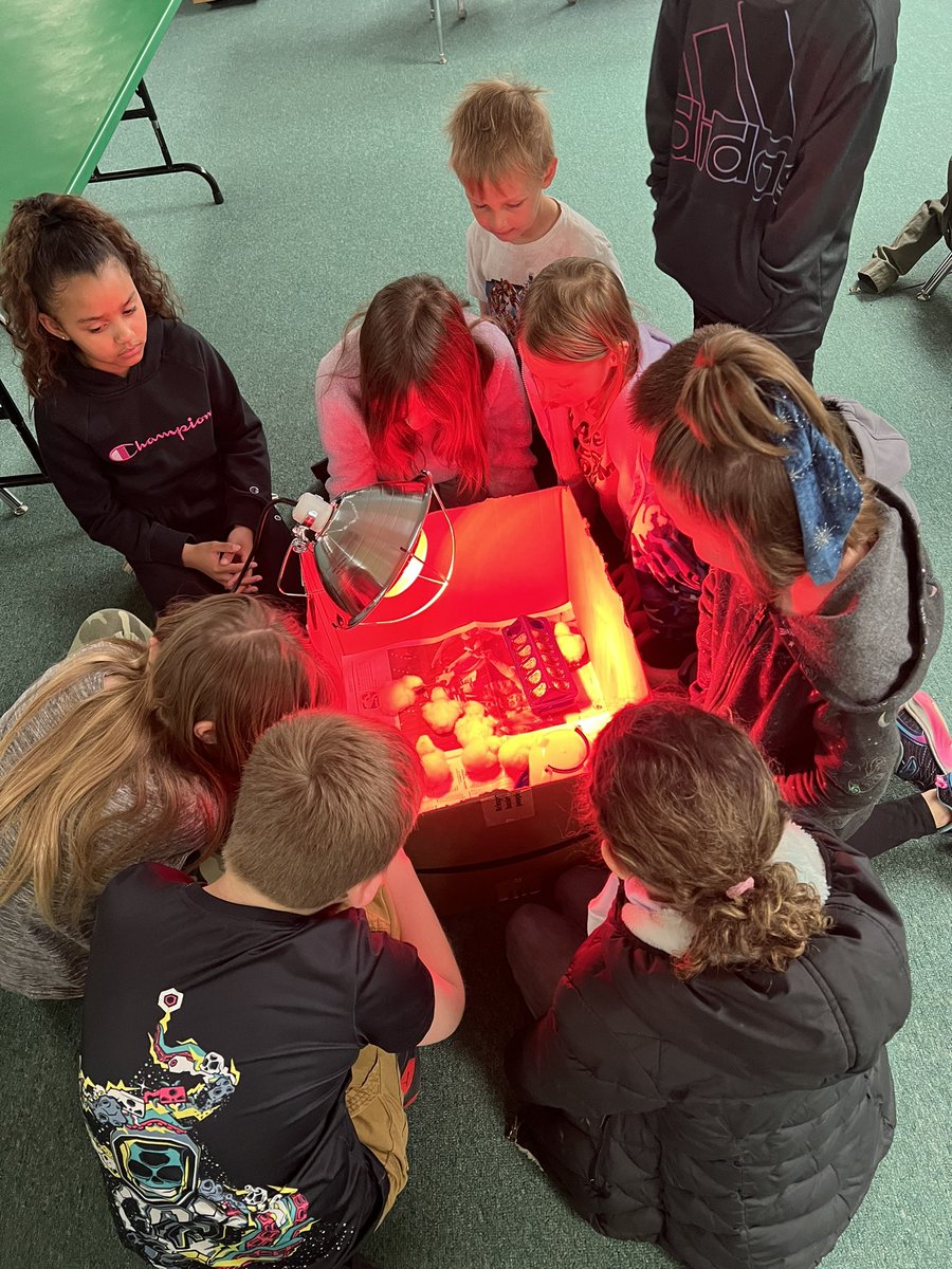 Thank you <a href="/4H/">4-H</a> Jackson County for this amazing program!!! A few tears as we said goodbye to our cuddly friends. Kids’ Safari won’t be the same. We do know they loved music, especially Glendale students practicing their recorders <a href="/ISDKidsSafari/">Kids' Safari - Independence MO</a> <a href="/ISDSchools/">Independence School District</a> <a href="/GlendaleElemISD/">Glendale Elementary School</a>