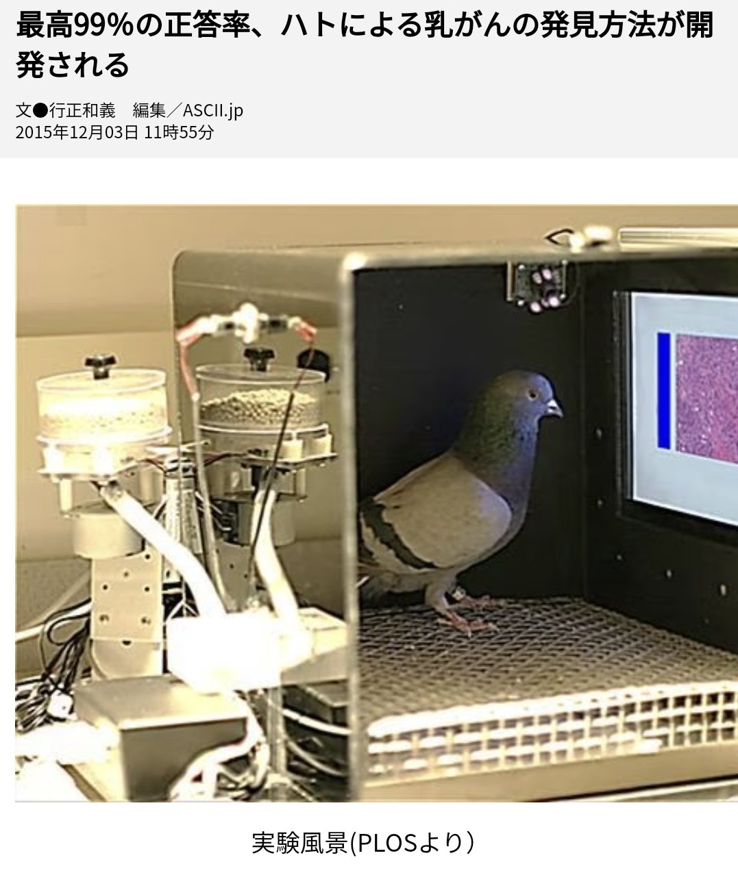 Mii 精神科医 画像診断は 人間を鍛えたり Ai開発を頑張るより 鳩を訓練するほうがコスパ良さそう T Co D7rbato78f Twitter