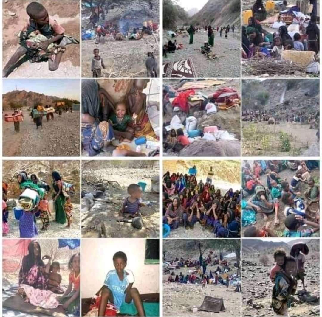 AFAR LIVES MATTER !!!
SHARE THIS
It's now known that, When the National Palace wanted to send the aid, it went through the starving Afar People and nothing happened, but when they didn't intended to send it, the Afaris are to be blamed.
m.facebook.com/story.php?stor…