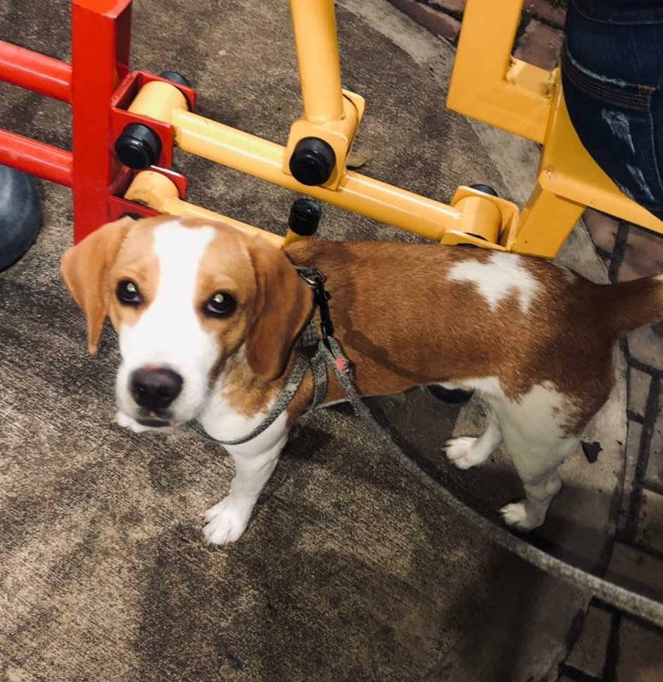 Marlly P. tweet media