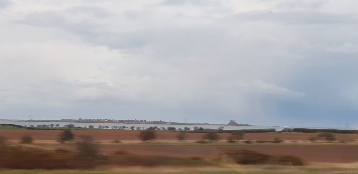 Bob Pack tweet media