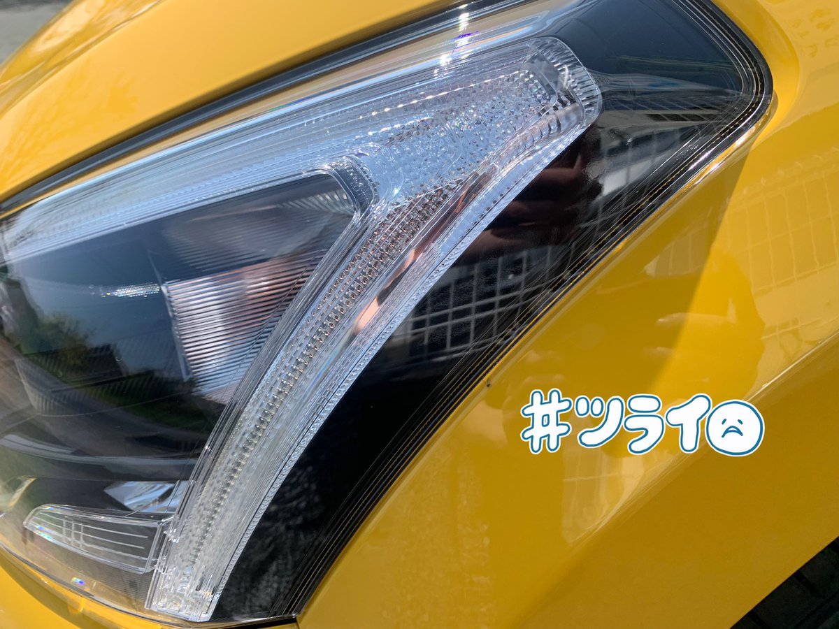 きこきのこ@きこだっく tweet media