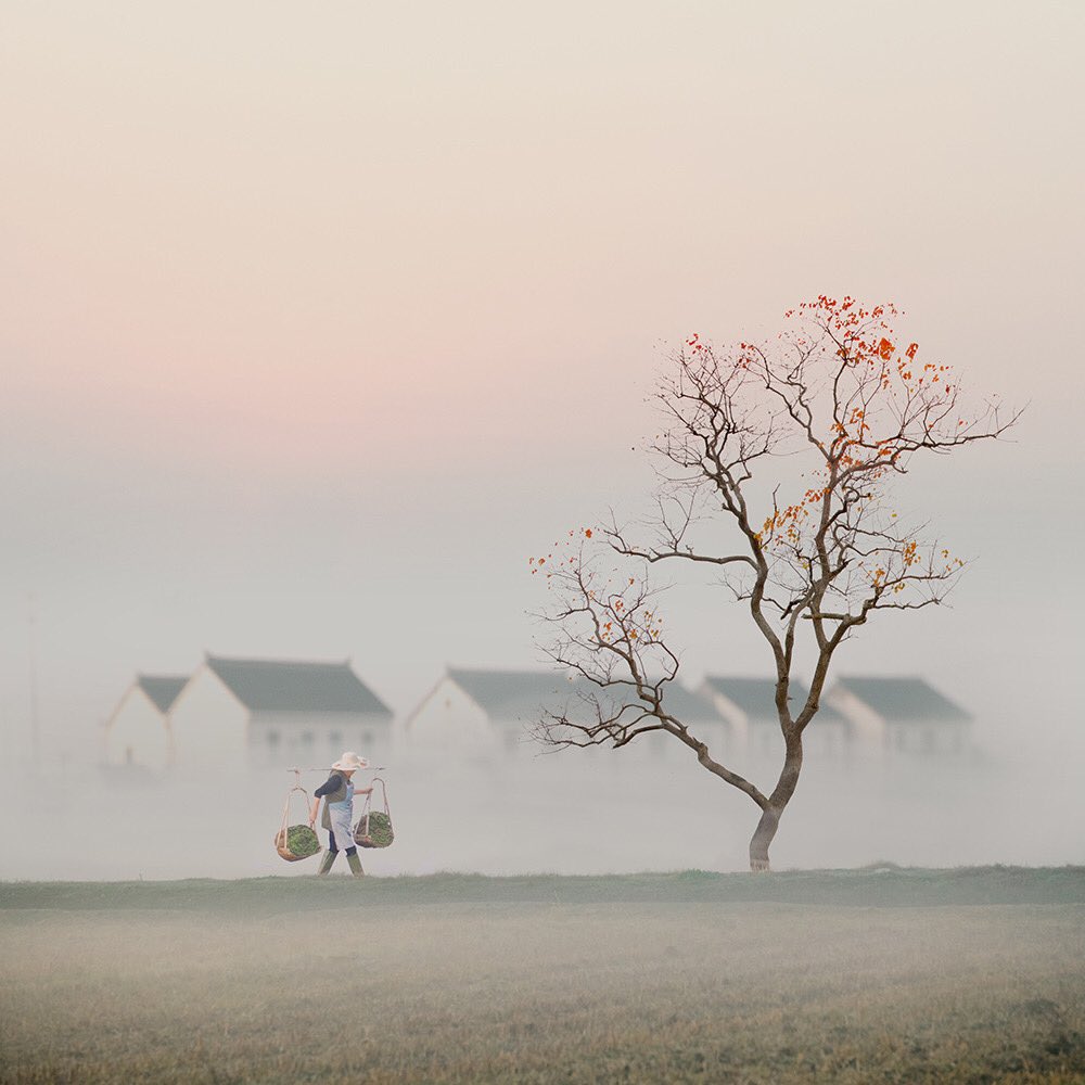 山坡羊·潼關懷古（張養浩）

峯巒如聚。波濤如怒。
山河表裏潼關路。
望西都 。意躊躇 。
傷心秦漢經行處。
宮闕萬間都做了土。
興，百姓苦；亡，百姓苦！