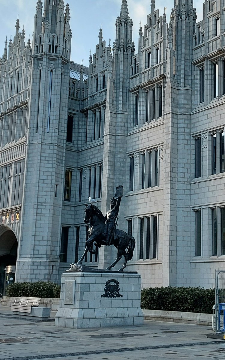 Seagull not exactly showing Robert the Bruce the respect perhaps he deserves last night.....
ianfraserpublishing.com
#Aberdeen 
#History 
#MarischalCollege