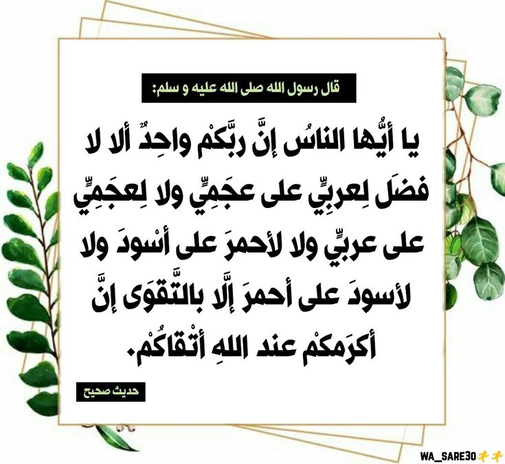 TalhaSafaa's tweet photo. العنصرية التي يعانيها السوري النازح داخل سوريا أصعب من التي يعانيها ي الدول الأخرى. https://t.co/QLyjm2hGgh