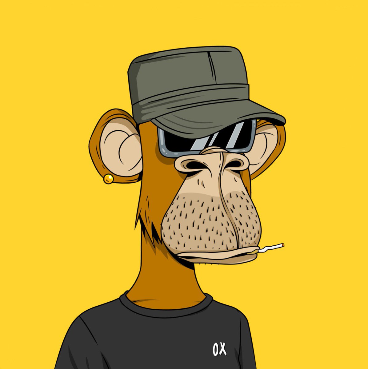 BAGG3RZ's tweet photo. Great future awaits @0xApes_NFT 🚀🌕
I haven't experienced such a strong and great tribe community yet. Amazing guys thanks 🍌 stay cool #0xApes #YellowArmy 🟨 #0xTribe #0xApesTrilogy #NFT #community https://t.co/PbOuo0IaXG