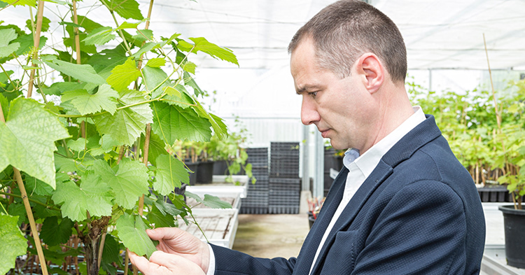 📻#MVRadioT7x27 

Hablamos con #JuanManuelCasares Presidente <a href="/RutaVinoRibeiro/">Ruta del Vino Ribeiro</a> para conocer más de cerca esta zona de #Ourense, con la 1ª DO de #Galicia. La Ruta del vino de Ribeiro es eso, una propuesta de recorrido turístico completa y variada.

👇 #Radio
bit.ly/2YA6WaP