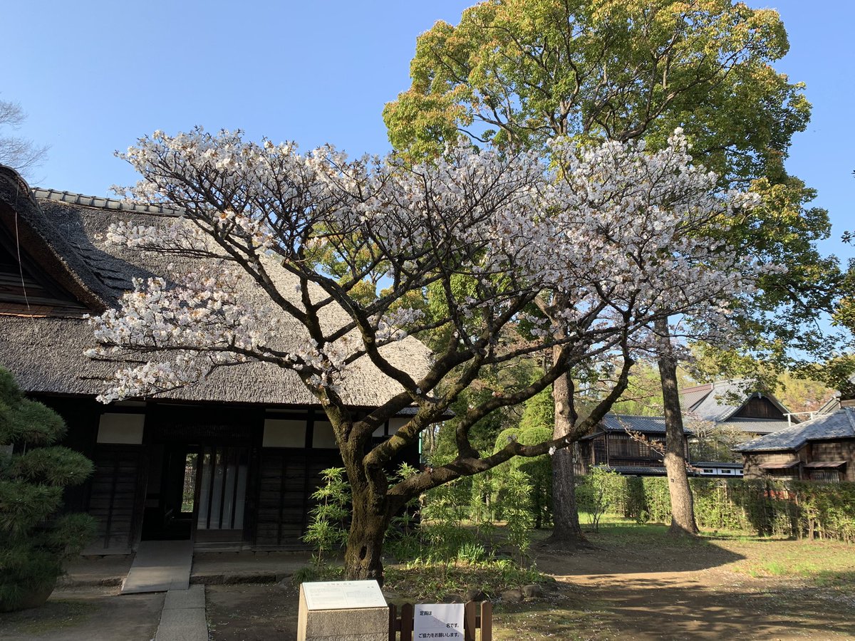 p_ra95's tweet photo. 初めての #江戸東京たてもの園 https://t.co/HQYVvtfK9w