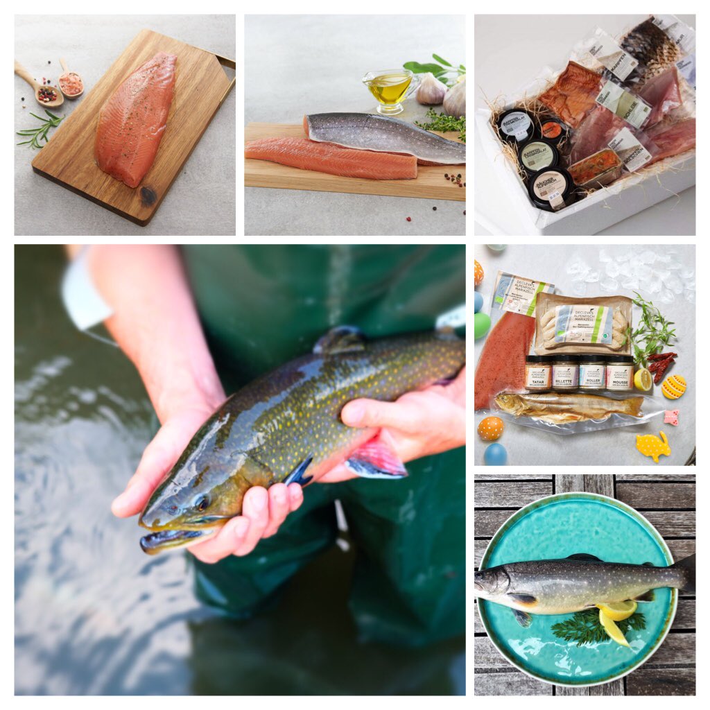 nahgenuss_eu's tweet photo. Auf nahgenuss kannst du dir noch besten Bio-Fisch für Ostern sichern 🐟. Sowohl als Frischfisch, als auch geräuchert und veredelt für die perfekte Jause:
⏩ https://t.co/h1vEeECZsV
#osterjause #biofisch https://t.co/537dD4abjq