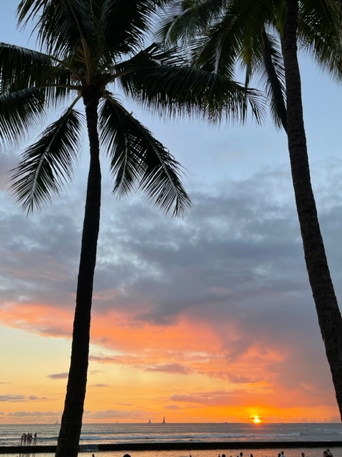 Grava Hawaii オアフ島から マウイ島からも 新作商品がたくさん入荷しました ハワイ限定品もここ 大須で入手できますよぉー B M Silo T Co I7qnehixuw Twitter