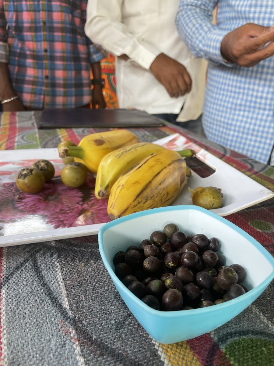 Memorable visit to #Dantenpally in #Asifabad - a #kollams PVTG habitation. Loved their #sustainableliving culture and food. 

Pics - Naturally extracted sesame oil, #Gussadi dance headgear, wild #honey, forest fruits. 

#tribalculture #tribaltourism #AspirationalDistrict