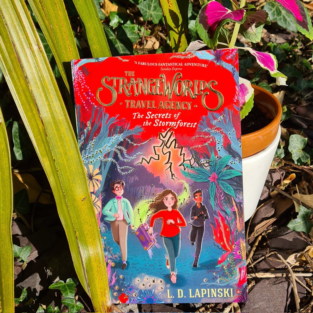 Sana_Lewis's tweet photo. @Sana_Lewis dedicating my whole day to the beauty of @ldlapinski 's gorgeous new #Strangeworlds because every book in this series so far has blown me awayyyyyy https://t.co/5WCcXLGjp0