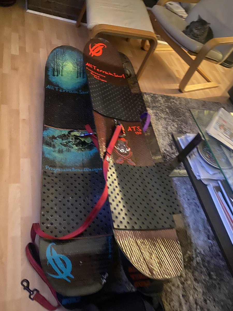 runninrabit's tweet photo. This is gonna be a whole bunch of fun 🤟#proboard #teamporksword ❤️ https://t.co/Src8E5y3KT
