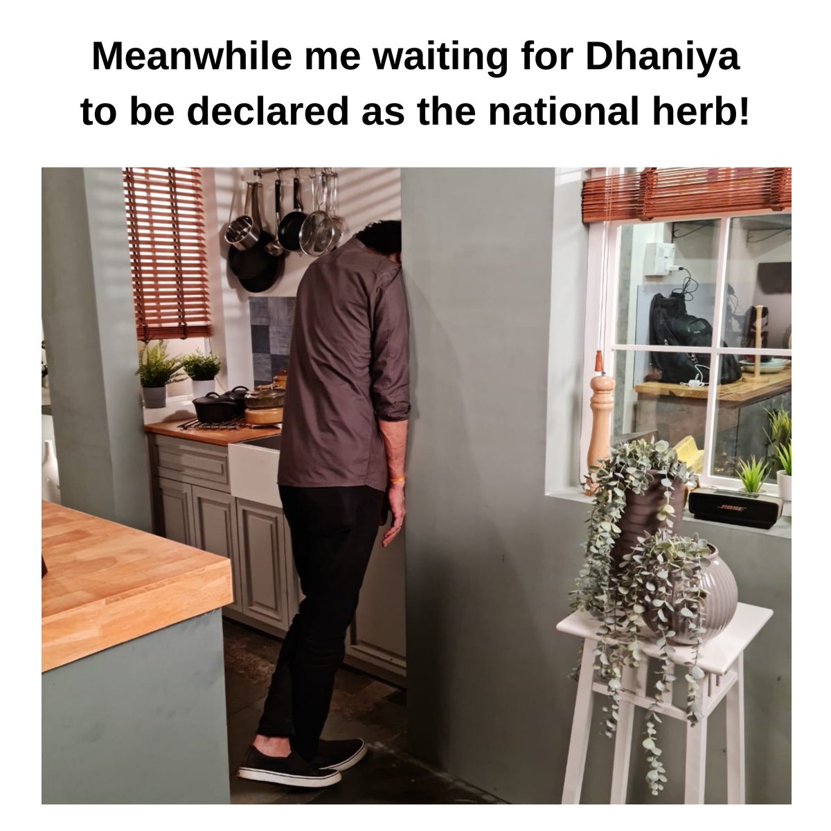 ranveerbrar's tweet photo. Jaldi se sign karlo!
Click on the link - https://t.co/fRZ2qE1i6c
.
.
.
#ranveerbrar #petition #coriander #nationalherb #coriandernationalherb #dhaniya #waiting #signthepetition #SignThePetitionNow https://t.co/zoEcGUWGCL