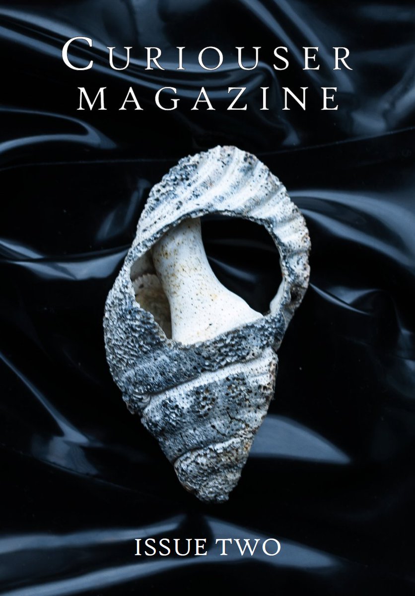Curiouser Magazine - Issue Two now for sale! tweet media