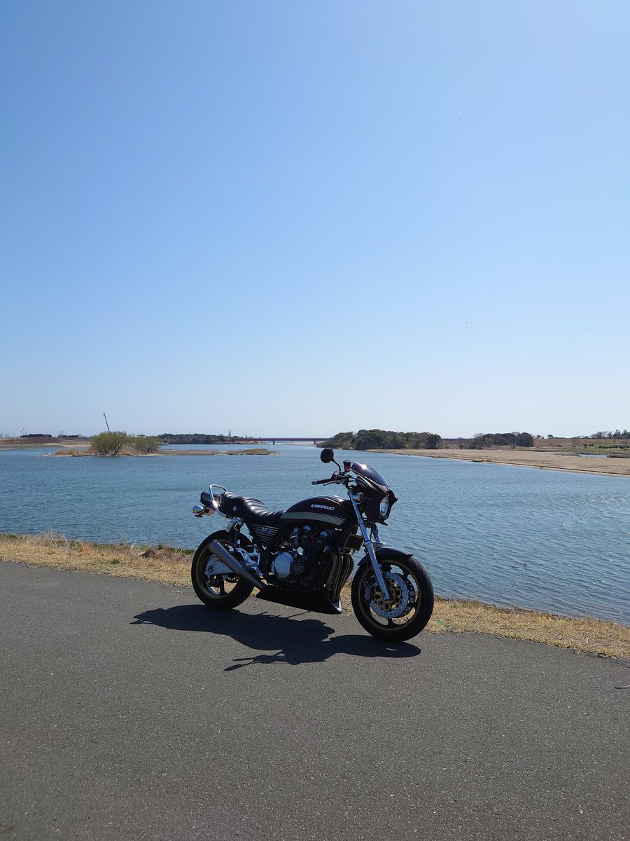 te71caro's tweet photo. 通院がてらの散歩🏍
桜もだいぶ咲いてきた🌸 https://t.co/WG2YFu4BU9