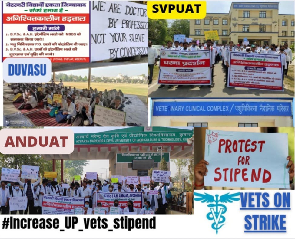 Vet doc on strike and they demand increase stipend which are very low (3000/month) even below than a labour class pay !

We all extend our support nd demanding increase vet doc stipend..
One Nation ,one stipend !
#Increase_UP_vets_stipend 
<a href="/brajeshpathakup/">Brajesh Pathak</a> <a href="/mansukhmandviya/">Dr Mansukh Mandaviya</a>