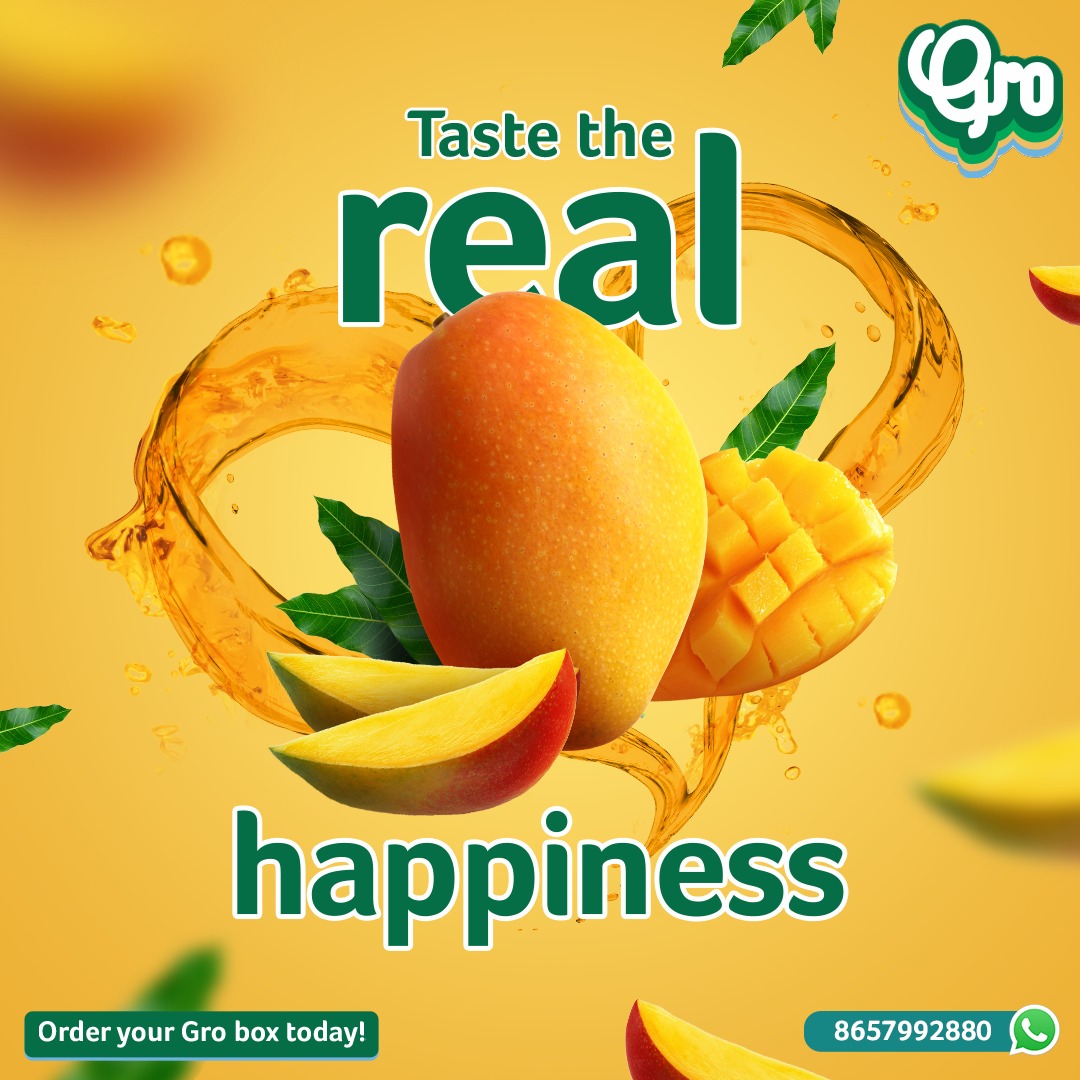 GroHappiness's tweet photo. Let loose your senses and dive into the rich taste of authentic Alphonsos that are sourced directly from the lush orchards of Ratnagiri &amp; Devgad.
Order your Gro box of Alphonso today on https://t.co/AebYz6Vy93

#Gro #GroMangoes #Alphonso #Ratnagiri #Devgad  #KingOfFruits #Mango https://t.co/BLdIJNnHeJ