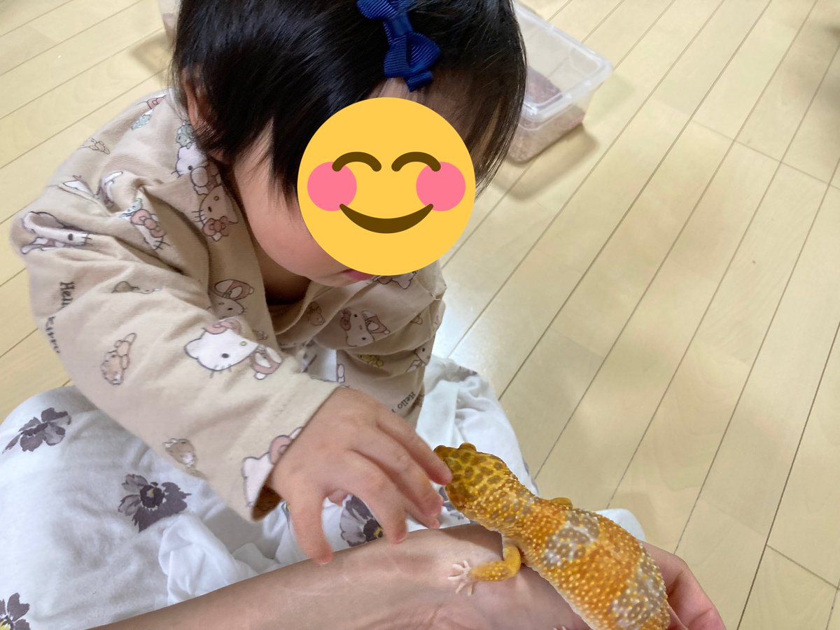 reoppppp8's tweet photo. 娘の推しはリコちゃんです🦎 https://t.co/G3XdIMYjyK