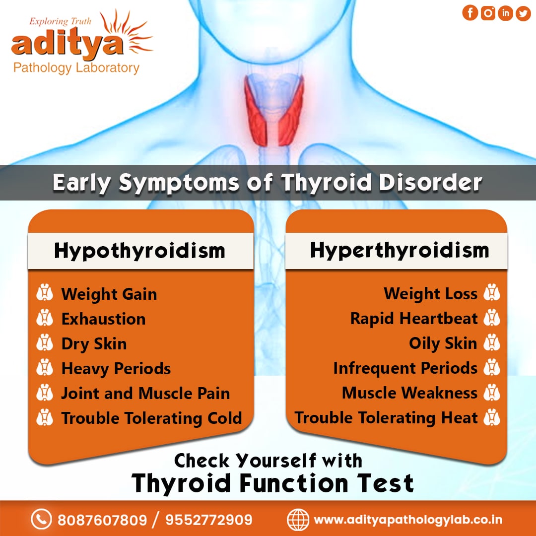 AdityaLab_Baner's tweet photo. The Thyroid Function Test is a series of blood tests used to measure how well your thyroid gland is working. Available tests include the T3, T3RU, T4, and TSH.
@AdityaLab_Baner
#adityapathologylab #pathology #TFT #ThyroidFunctionTest #Hyperthyroid #Hypothyroid #symptoms #pune https://t.co/VQ1Dpl6Max