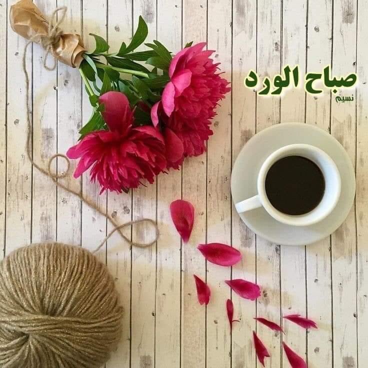 joumanaaris__20's tweet photo. صبحكم الله برضاه  صباحكم حب 💓 
أتمنى لكم الرضى ،السلام ،الأمان و الطمأنينة تصحب��ا  راحة البال 
أيامكم عاطرة بكل ما تتمنون  رمضان كريم أيها الط��بون…
#رمضان_يجمعنا https://t.co/MFgukvACi9
