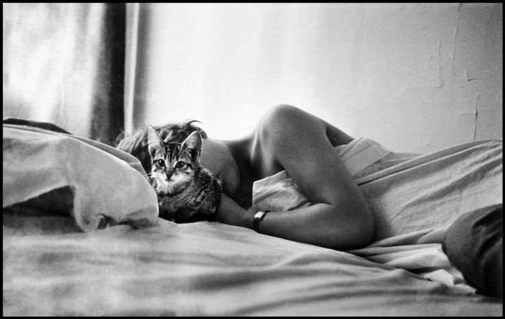 rvoneinem's tweet photo. Elliott Erwitt     🐾 good morning 🐾 https://t.co/j5L2Gbcr6K