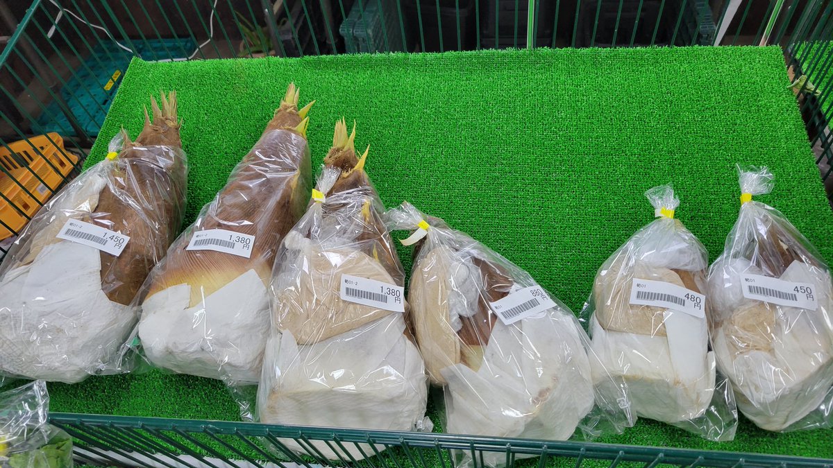 naratamago's tweet photo. 船橋産
朝掘りたけのこが入荷してまーす‼️ https://t.co/nYRIDsR4zf