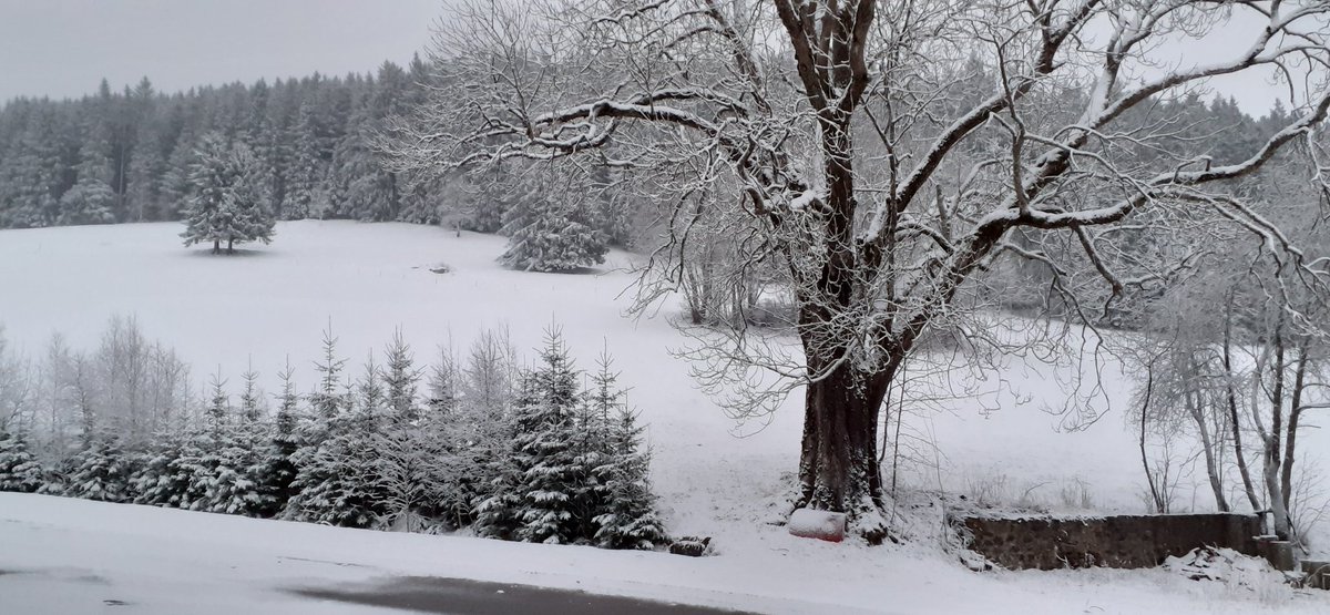 frauhasenklee's tweet photo. Nicht direkt überraschend, sondern vorhersehbar. 
#Aprilschnee https://t.co/oFEgIWl1ch