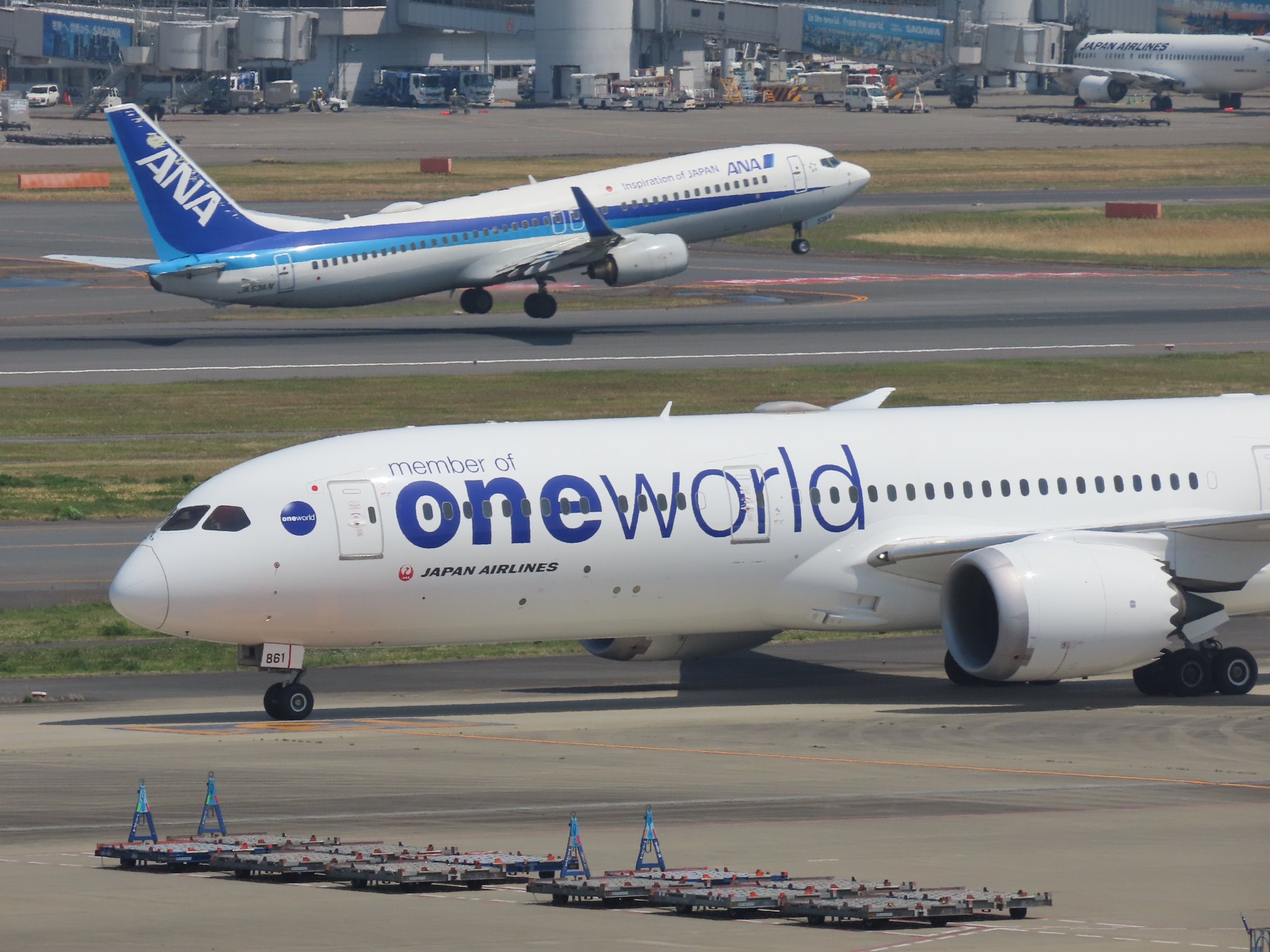 上品】 oneworld 787-9 JAL 日本航空 JA861J ワンワールド 航空機 上品】 oneworld 787-9 JAL 日本航空 JA861J ワンワールド 航空機