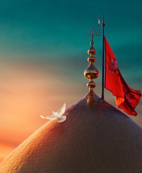 khadem_shohada9's tweet photo. گر عشق مقصد است، خوشا لذت مسیر...!
اگرتواین شبا توفیق خادمی شهدادر مسجدیاحتی ایستگاه های صلواتی پیداکردیداز دستش ندید..
#ماه_امید 
#یاحسین https://t.co/UwBFbEa0Fn