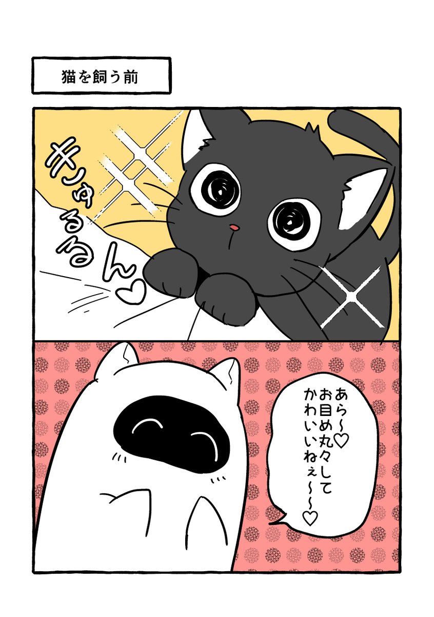 『猫を飼う前と後で認識が変わった話。』
やめて!もう西屋の足はボロボロよ!(

#コルクラボマンガ専科
#西屋の生態日記 