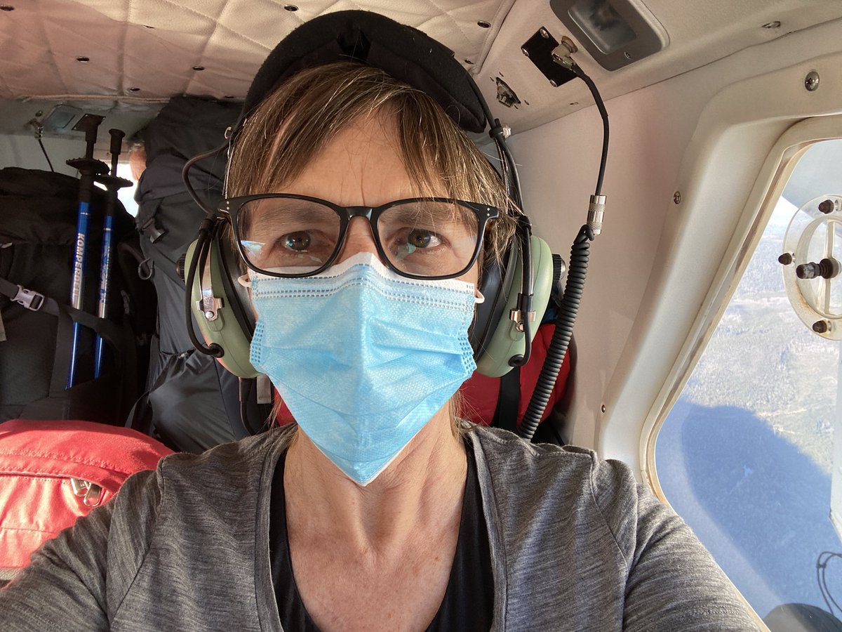 Lisa Barnett PhD tweet media