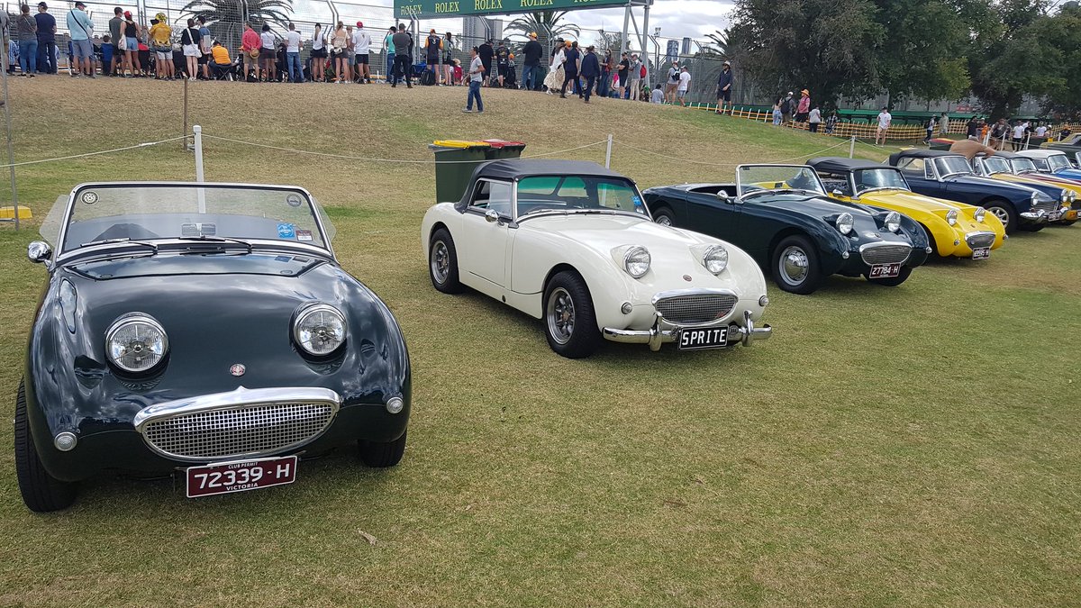 Andrew Halliday tweet media