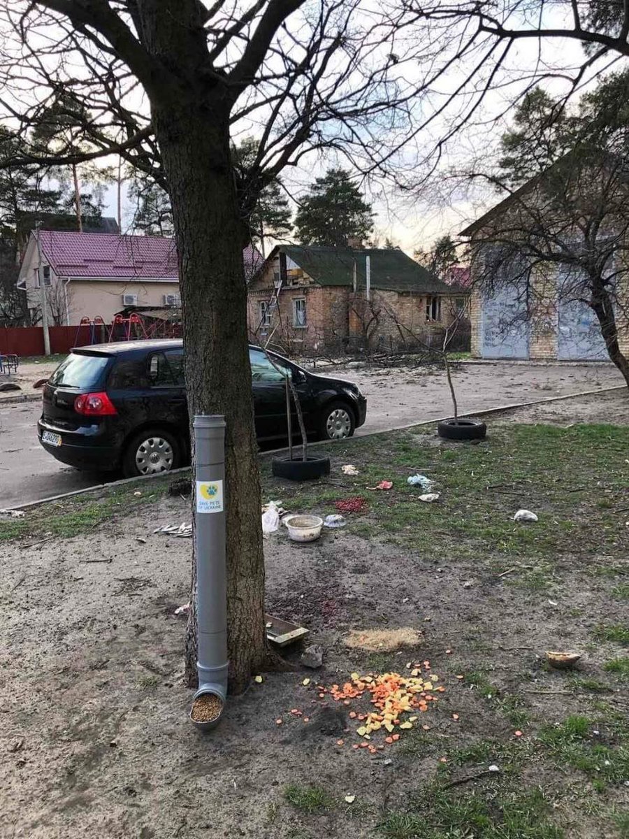 Animal feeders were set up in #Irpin, liberated from ru occupiers. Residents also created a channel to search for lost animals.