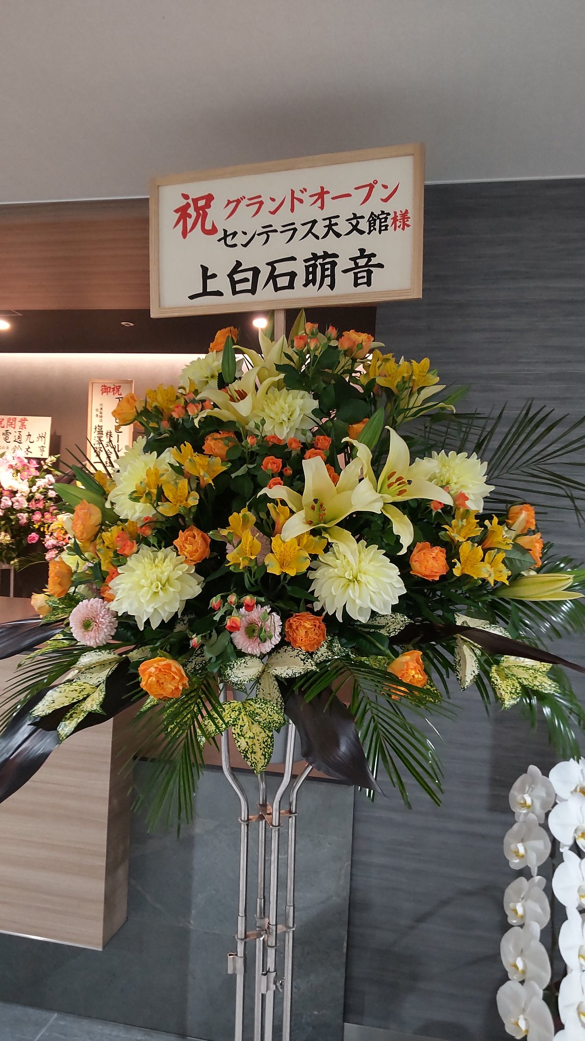 Mu San むぅ 萌音ちゃんからのお花 センテラス天文館 本日開業 上白石萌音 T Co 00r159uzju Twitter Mu San むぅ 萌音ちゃんからのお花 センテラス天文館 本日開業 上白石萌音 T Co 00r159uzju Twitter