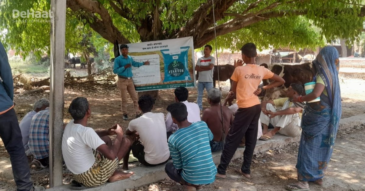 DeHaatTM's tweet photo. Continuing our sessions of Farmer Training & Interaction, we met with the tomato farmers of the Nadrai village in UP.
Our experts gave valuable advisory to the farmers to get better yields by adopting tech-based farming methods.
#farmers #advisory #farmingsolution #agriadvisory https://t.co/ZUPn1JfOJB