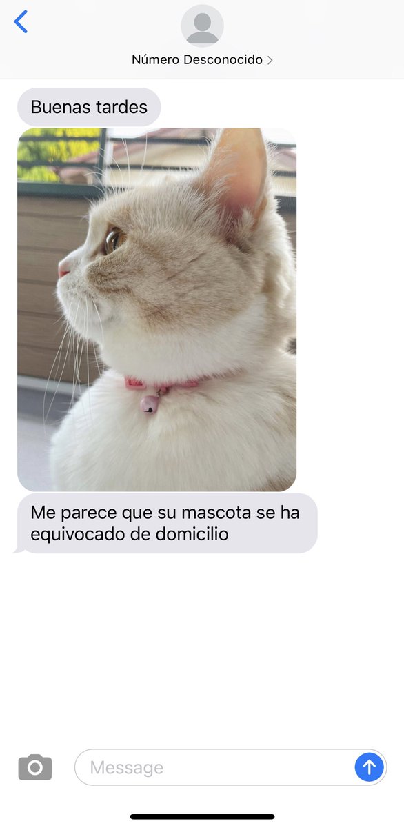 redkoya's tweet image. 🐈 тoмoмι 🐈

TAEGI || YOONTAE AU 🌹

Tras descubrir un extraño método para hallar mascotas perdidas, Yoongi decide pedirle ayuda a una gata callejera para encontrar pareja; sin imaginar que esta lo guiaría hasta un miembro de la familia real.