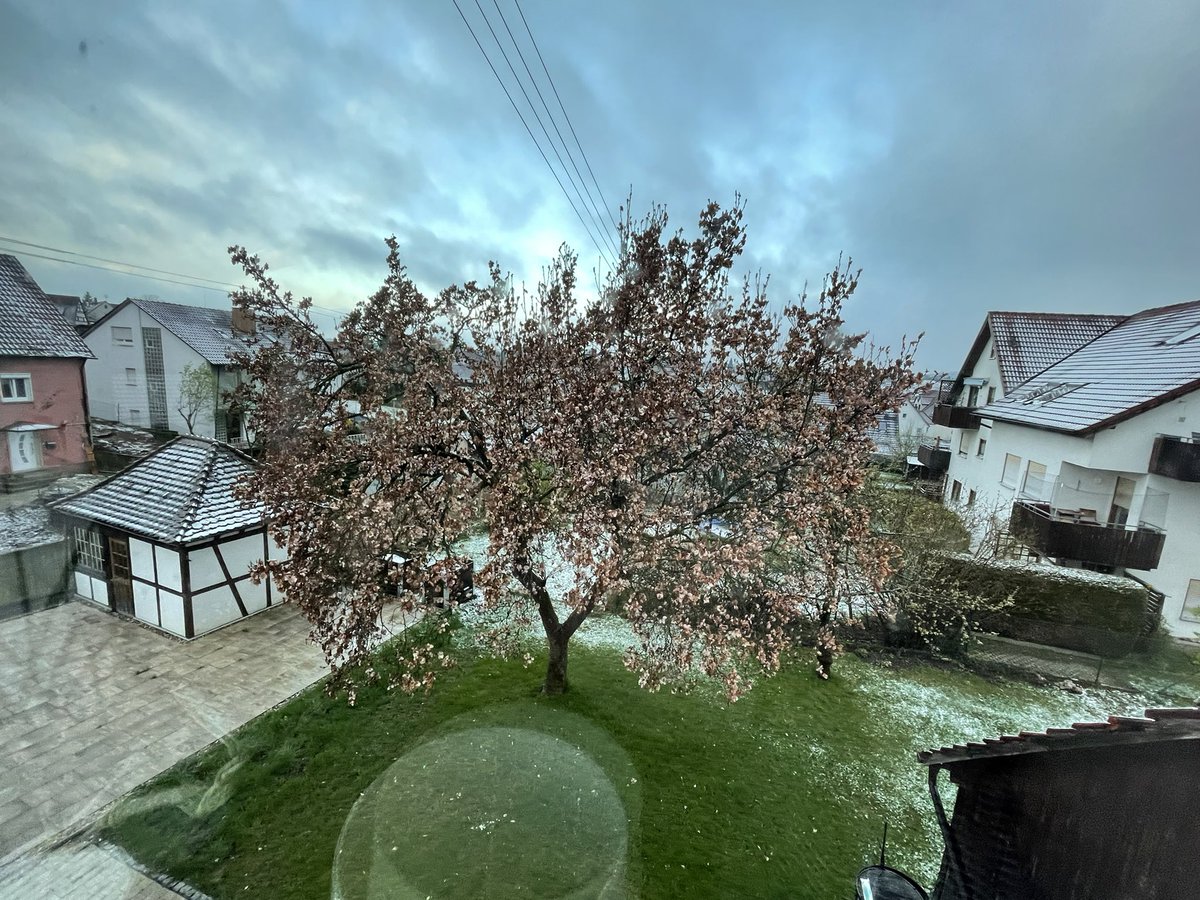 thomrosenhagen's tweet photo. Guten Morgen… #Aprilwinter… https://t.co/640qa6ueTW