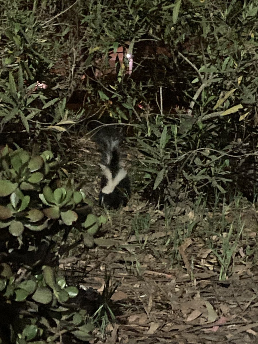 Em Waters tweet media