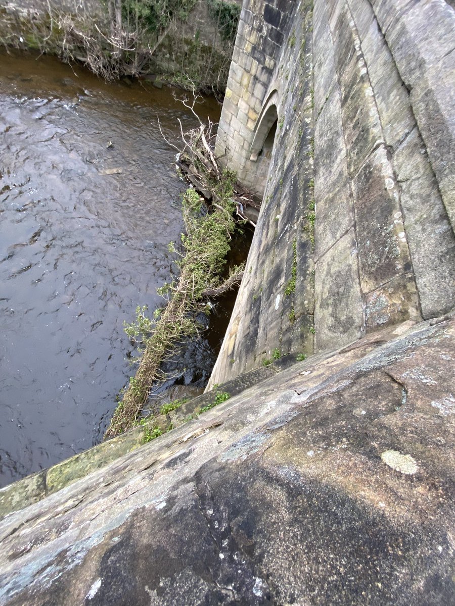 Ruth Newton tweet media