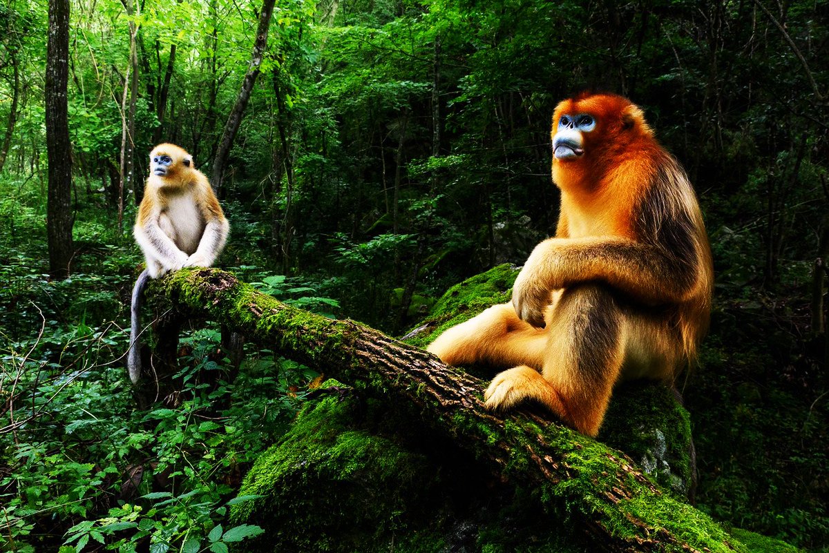 opensea.io/assets/matic/0…

My NFT)