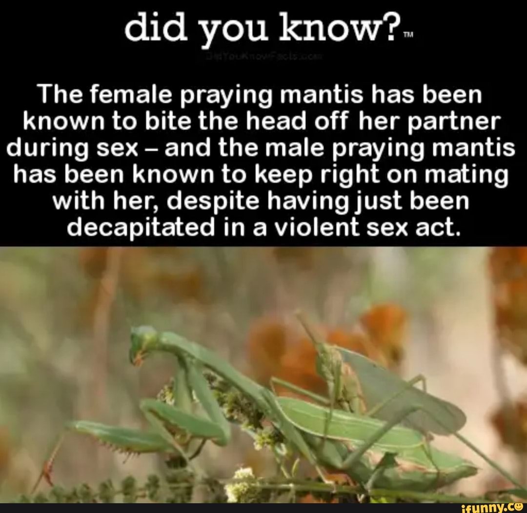 Krzwyf's tweet photo. @HoosAGoodBoy @IamWahl @DammitTracy @meganbielby @MPAVictoria @tramowl @freakindelight #TheMoreYouKnow #JustKeepsGoing https://t.co/6R2KIProBs