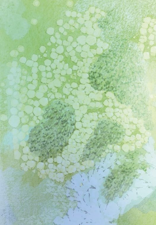 単行本第二巻、6月発売です!
大変長らくお待たせいたしました
カバーイラスト進行中です!
今回もベカサク@背景屋(@bekasaku )さんに着彩をお願いたところ
圧倒的表現力で背景に素晴らしい菌類を再現してくれました…✨
書影をお楽しみに!
発売までもうしばしお待ちください🙇♀️