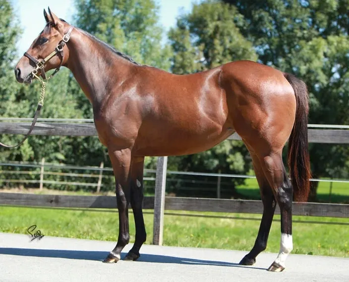 We very much have the Grand National fever today! 🌡️

We are giving away the last ticket of our Grand National raffle...

1 - Follow <a href="/NBradleyRacing/">Nick Bradley Racing</a>

2 - ❤️ &amp; 🔁 this post

Winners each receive a 2% share in Mersea ✅

nickbradleyracing.co.uk/competitions

Winner selected before 3pm! 🤞🤞🤞