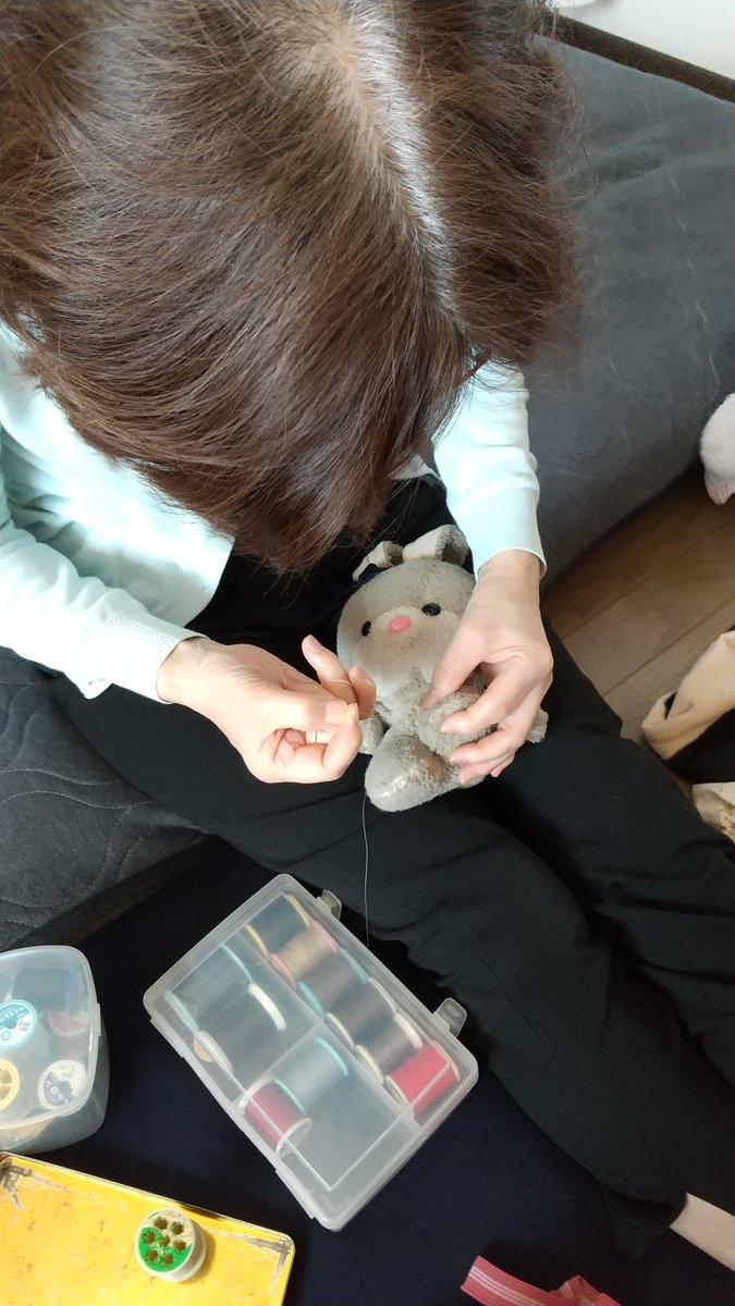 キャンディーさん、手術お疲れ様でした😷