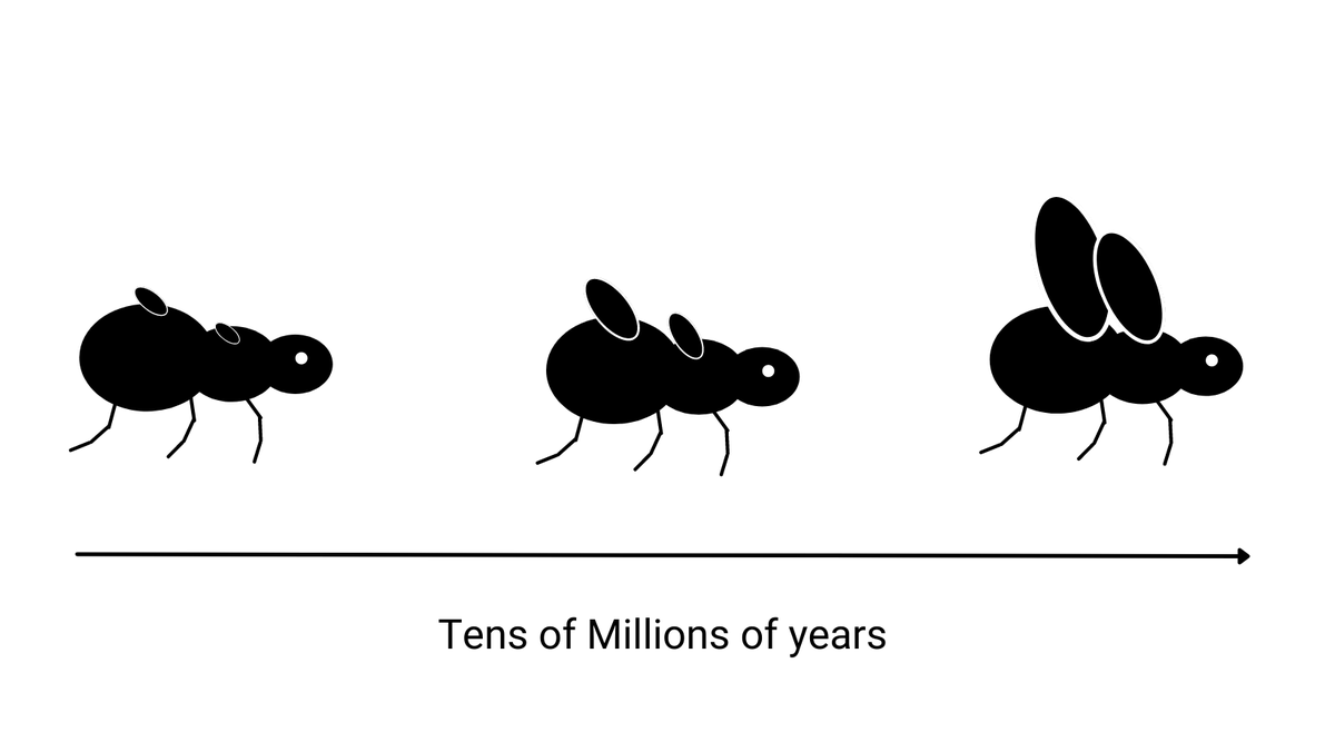Some thoughts on Hacks...

mayank.ink/hacks/