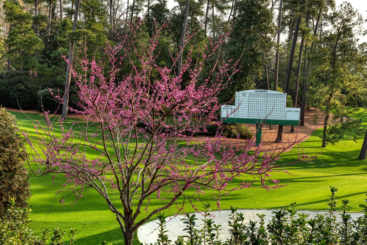 DaveDShelfSide💙🌺⛳️🌺 (@daved250) on Twitter photo It’s 5am here 🇺🇸 heading down to #AugustaNational early to get position and enjoy another fabulous day <a href="/TheMasters/">The Masters</a>
<a href="/WestwoodLee/">Lee Westwood</a> <a href="/yourgolftravel/">Your Golf Travel</a> <a href="/GolfTeamYGT/">#TeamYGT</a> It’s 5am here 🇺🇸 heading down to #AugustaNational early to get position and enjoy another fabulous day <a href="/TheMasters/">The Masters</a>
<a href="/WestwoodLee/">Lee Westwood</a> <a href="/yourgolftravel/">Your Golf Travel</a> <a href="/GolfTeamYGT/">#TeamYGT</a>
